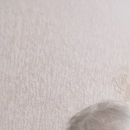 �������, �������, 57 ���