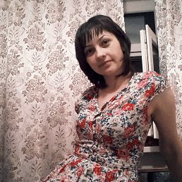 ���� ����, �����������, 38 ��� - ��������� 24 ������� 2026