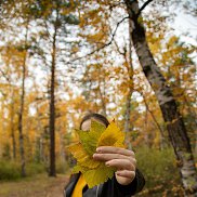 ������, 26 ���, ����