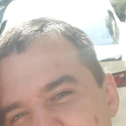 �������, ������, 40 ���