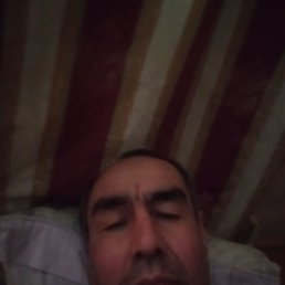 �����, 46 ���, ������