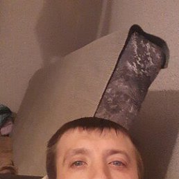 , 37, 