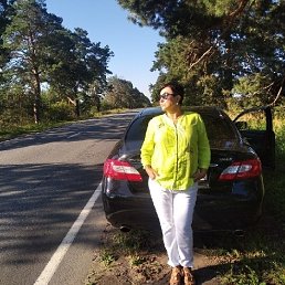 , 43 , 