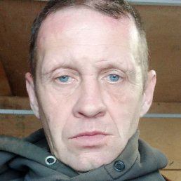 ������, ���������, 46 ���