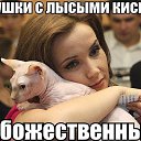 ���� ��������, ��������, 54 ���� - ��������� 10 ������ 2024 � ������ ���� ����������
