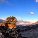 ���� ������, ������, 53 ���� - ��������� 25 ������� 2023 � ������ ���� ����������