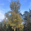 ���� �������, ���������, 53 ���� - ��������� 21 �������� 2024 � ������ ���� ����������