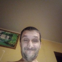 , 44, 