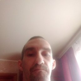 �������, �����, 36 ���