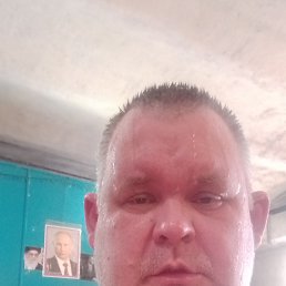 ���� �������, ������, 44 ���� - ��������� 9 ������ 2024