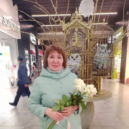 , 56, 