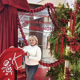 ���� �����, �������, 48 ��� - ��������� 23 ������ 2026