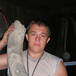 ����, ��������, 46 ���