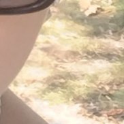 ������, 38 ���, ������