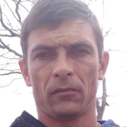 ������ ������, ���������, 41 ���