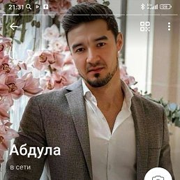 , 33, 