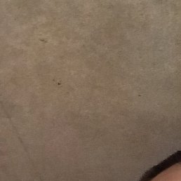 ��������, ������, 55 ���