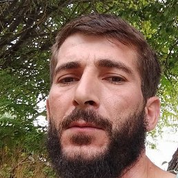 �������, �����-���������, 33 ����