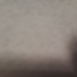 Alice, ����, 25 ���