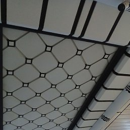 �����, �����, 36 ���