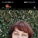 ���� �������, ������-��-����, 57 ��� - ��������� 23 ���� 2026 � ������ ���� ����������