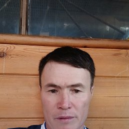 , 45, 