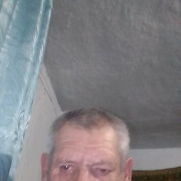 , 54 , 