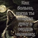 ���� ������, ������, 39 ��� - ��������� 24 ���� 2026 � ������ ���� ����������