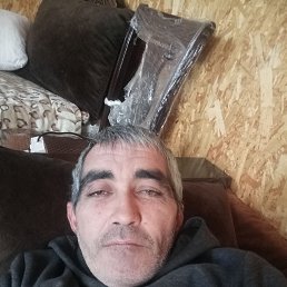 ���� �����, �����������, 41 ��� - ��������� 4 ������ 2026