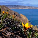 ���� �����, ��������, 57 ��� - ��������� 3 ����� 2024 � ������ ���� ����������