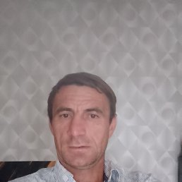 , 44, 