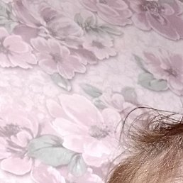 �������, ������, 56 ���