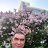 ���� ������, ������, 54 ���� - ��������� 27 �������� 2025