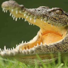 ���� �������, ������ - ��������� 21 ������ 2024