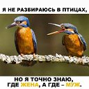 ���� �����, ������, 39 ��� - ��������� 22 ������� 2025 � ������ ���� ����������