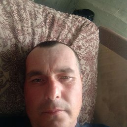 �����, ������, 37 ���