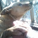 ���� �����, �����-���������, 65 ��� - ��������� 13 ������ 2025 � ������ ������ ��������