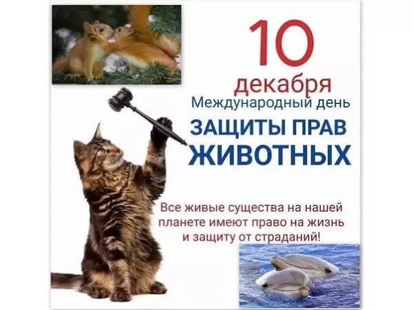 Именины: Гавриил, Фекла, Всеволод, Роман, Дмитрий, Андрей, Владимир, Алексей, Федор, Сергей, Борис - 6