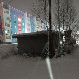 �������, ���������, 43 ����