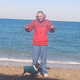 , 53, 