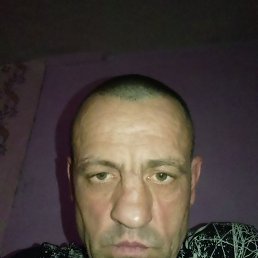 ���������, 44 ����, ��������