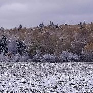 ������, 49 ���, ���������