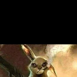 ���� ������� ����������, ���������, 40 ��� - ��������� 12 ������ 2025