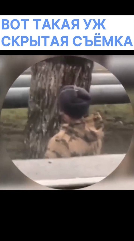 ����� ����� ������ ��������� � ��������-������������. �� �����, ������, ��� ������� ��������� ����� ... - 2