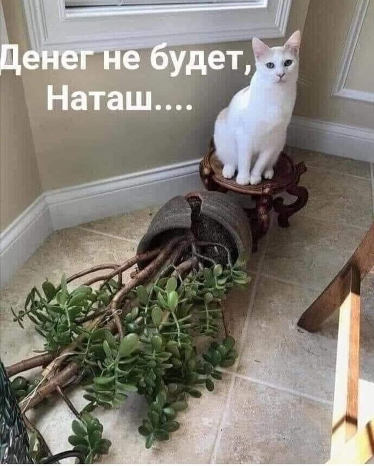  - 22  2024  16:47
