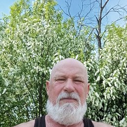  , 60 , 