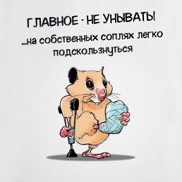 �����, ������, 56 ���