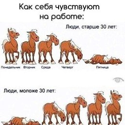 �����, �������, 37 ���