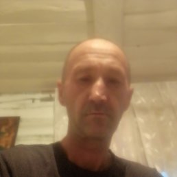 , 53, 