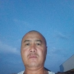 , 44, 
